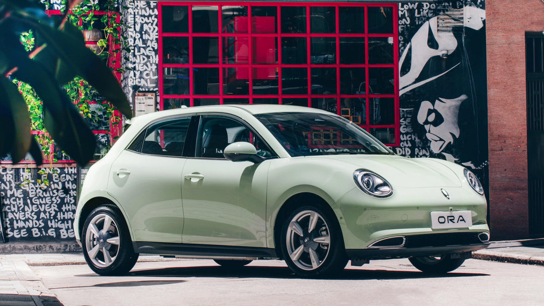 ORA EV Good Cat（03）Funky Cat Accessories - HOT GWM