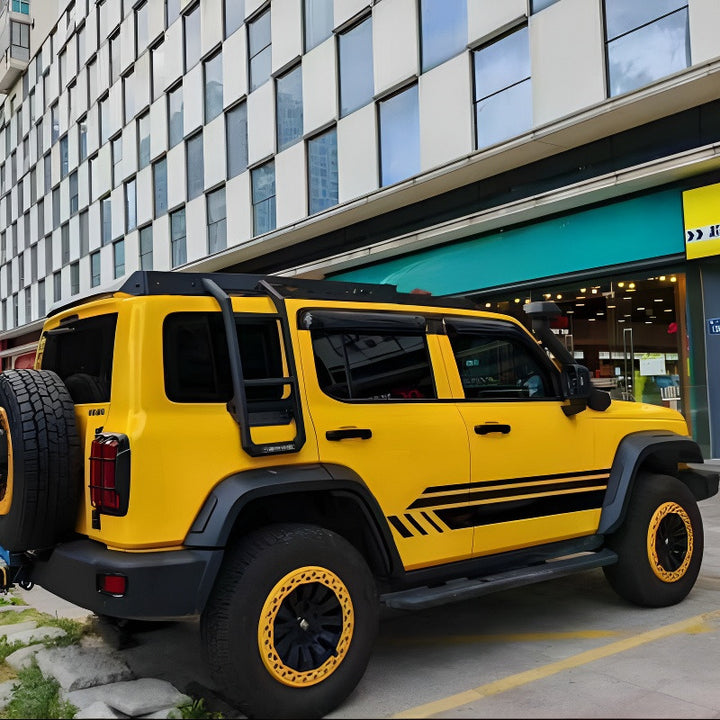 Roof Rack Platform & Side Ladder for GWM TANK 300 - HOT GWM