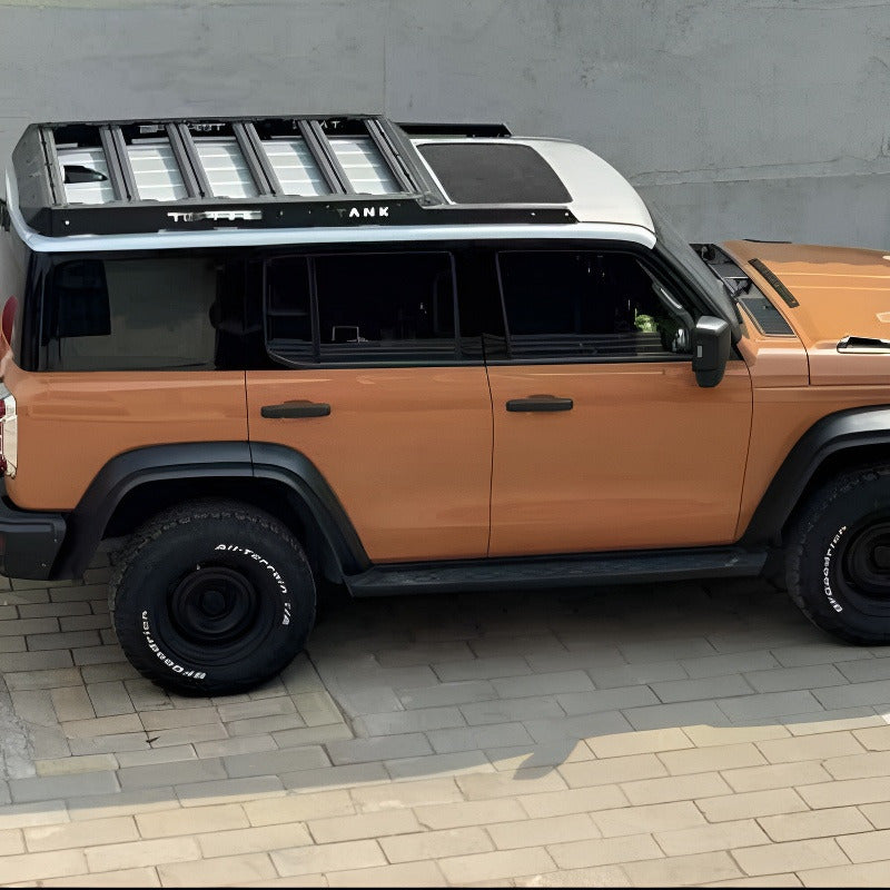 Roof Rack Platform & Side Ladder for GWM TANK 300 - HOT GWM