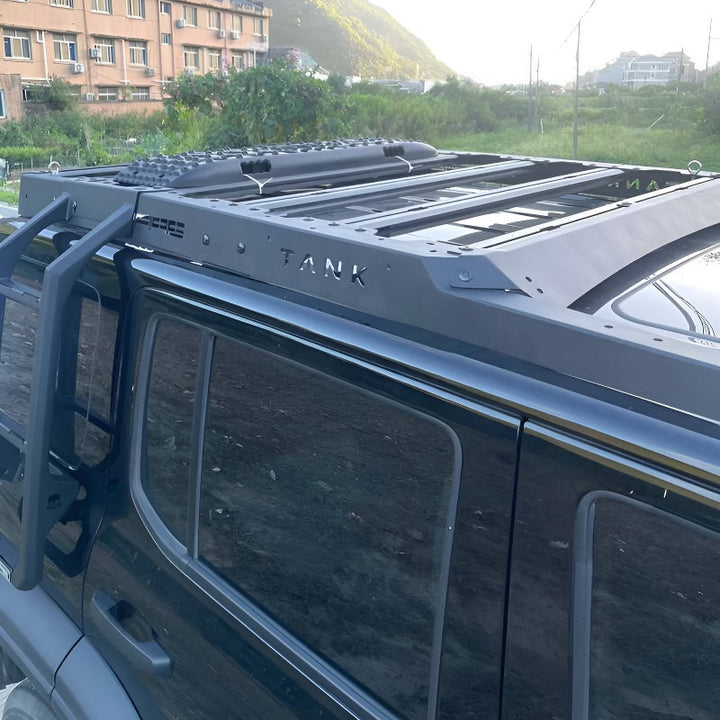 Roof Rack Platform & Side Ladder for GWM TANK 300 - HOT GWM