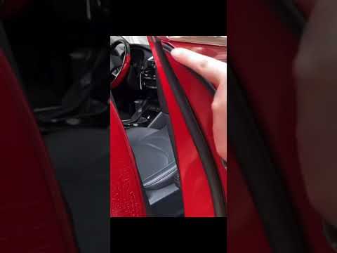 Rubber Car Seal for GWM